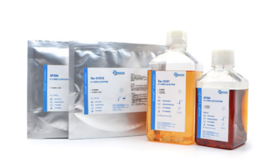 Serum-free medium for BHK cells