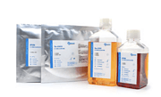 Serum-free medium for BHK cells