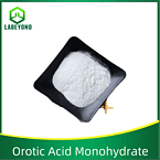 Orotic Acid Monohydrate