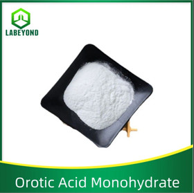 Orotic Acid Monohydrate