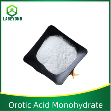 Orotic Acid Monohydrate  