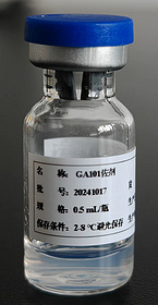 GA101