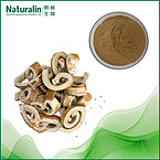 Sangbaipi Extract