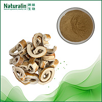 Sangbaipi Extract
