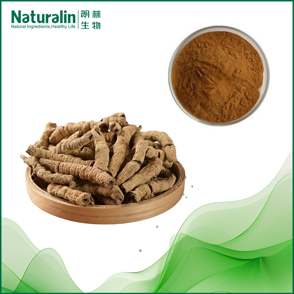 Morinda Root Extract