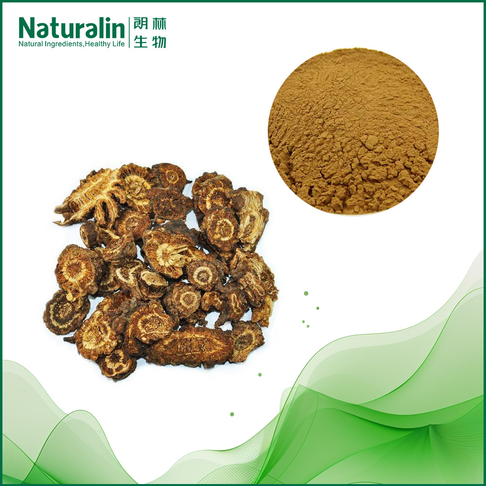 Notopterygium Root Extract