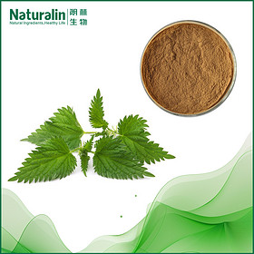 Nettle Root Extract