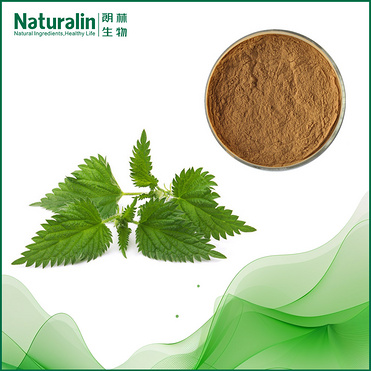 Nettle Root Extract
