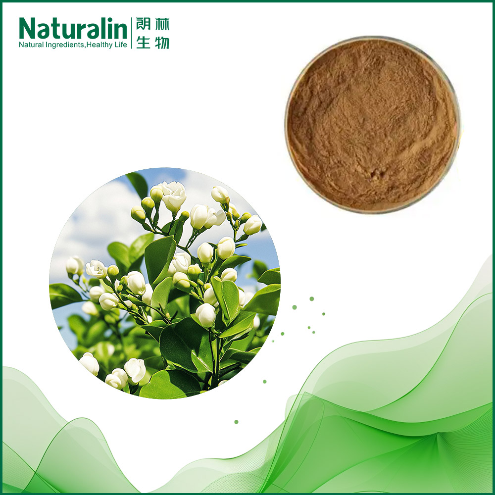 Jasmine Tea Extract