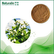 Jasmine Tea Extract