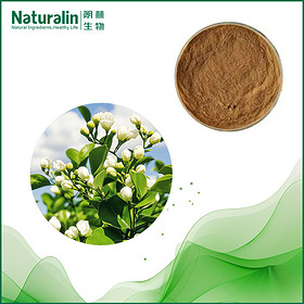 Jasmine Tea Extract