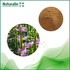 Motherwort Extract