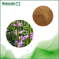 Motherwort Extract