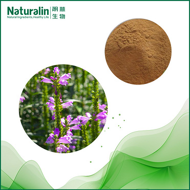 Motherwort Extract