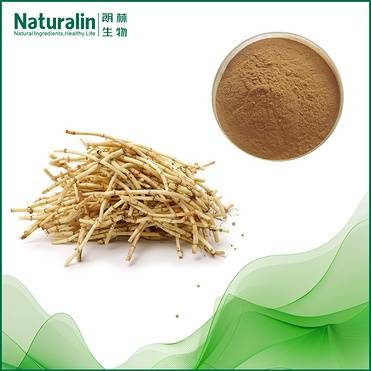 Houttuynia Extract