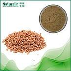 Mustard Seed Extract