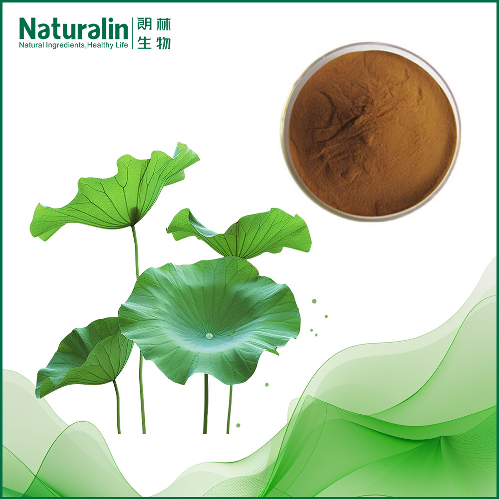 Lotus Leaf Extract