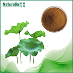 Lotus Leaf Extract