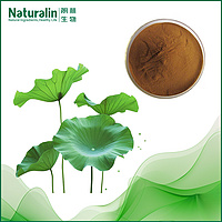Lotus Leaf Extract