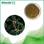 Loquat Leaves Extract