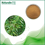 Huperzine A