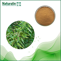 Huperzine A