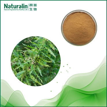 Huperzine A