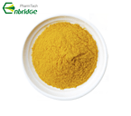 Vitamin B2 Riboflavin