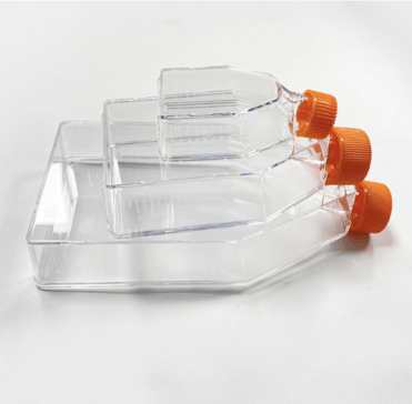 25 CM2 Culture Area, Sealed Cap Laboratory Tissue Culture Bottle Flask
