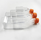 175 CM2 Culture Area, Vented Cap Lab Volumetric Plant Cell Tissue Culture Flasks