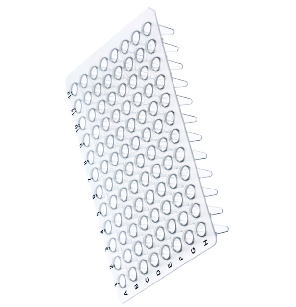 0.1ml Non Skirted Printed PCR Plate