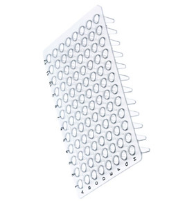 0.1ml Non Skirted Printed PCR Plate
