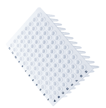 Non Skirted PCR Plate 0.1ml White Color Pcr Plate