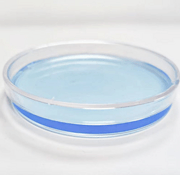 Plastic Lab Petri Culture Dish Container 150mm