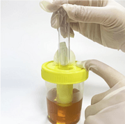 Vacuum Urine Container 90ml Urine Container Boots
