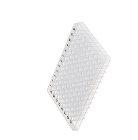 PCR Plate 0.2ml Semi Skirted, Clear Color Pcr Plate Template