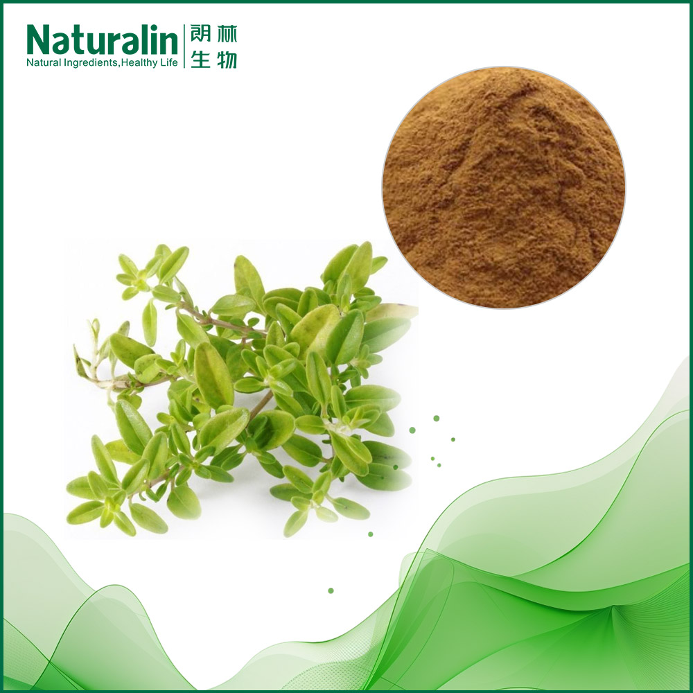 Thyme Extract
