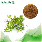 Thyme Extract