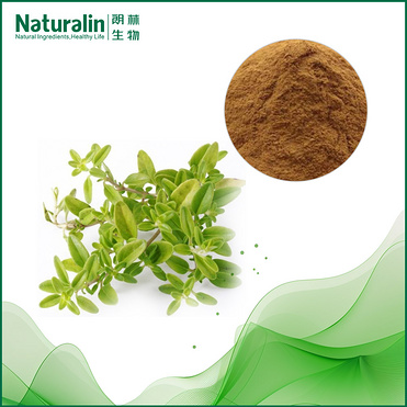 Thyme Extract