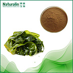 Wakame Kelp Extract