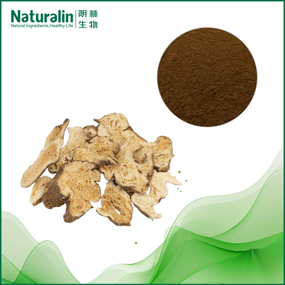 White Atractrylodes Extract