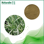Oat Grass Extract