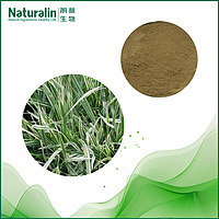 Oat Grass Extract