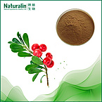 Uva Ursi Leaf Extract