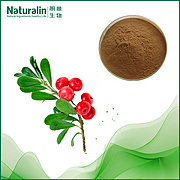 Uva Ursi Leaf Extract