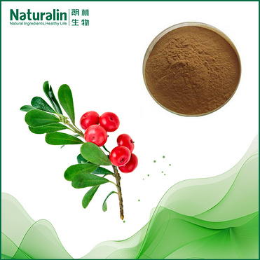 Uva Ursi Leaf Extract