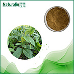 Pinellia Extract