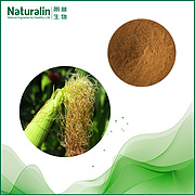 Corn Silk (Stigmata Maydis) Extract