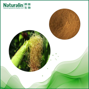Corn Silk (Stigmata Maydis) Extract