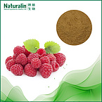 Raspberry Extract